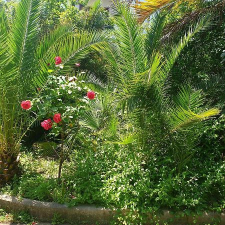 Quiet House Garden Naples-Pompei-Sorrento Villa Trecase Exterior photo