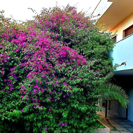 Quiet House Garden Naples-Pompei-Sorrento Villa Trecase Exterior photo