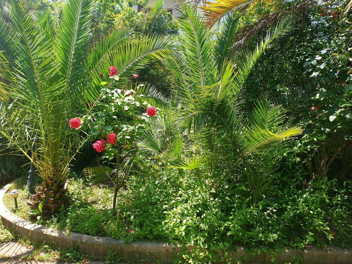 Quiet House Garden Naples-Pompei-Sorrento Villa Trecase Exterior photo