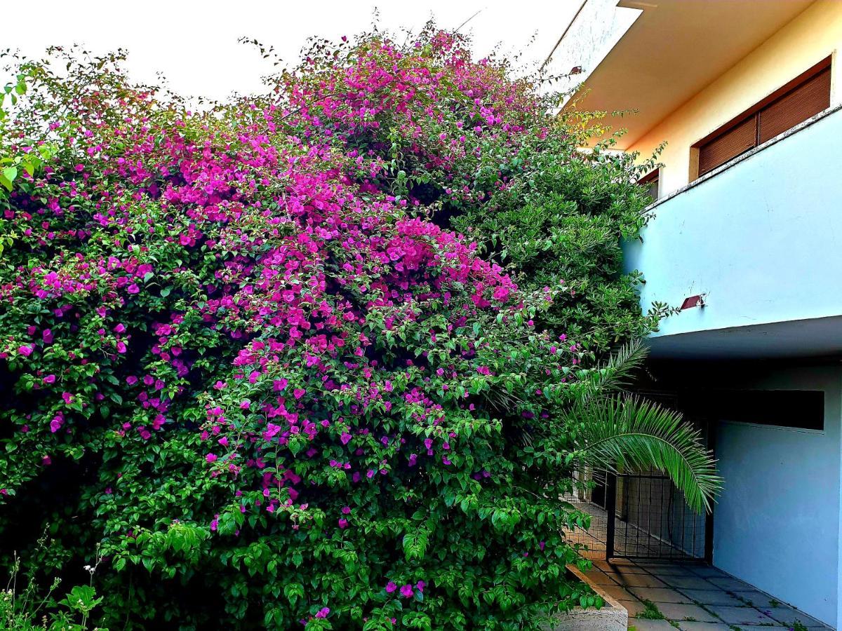Quiet House Garden Naples-Pompei-Sorrento Villa Trecase Exterior photo
