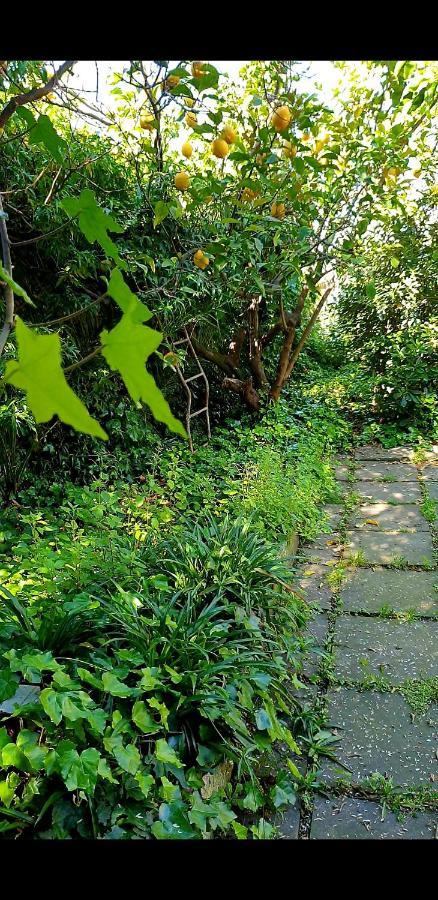 Quiet House Garden Naples-Pompei-Sorrento Villa Trecase Exterior photo