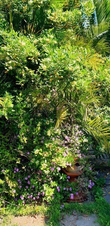 Quiet House Garden Naples-Pompei-Sorrento Villa Trecase Exterior photo